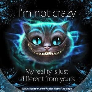 Meet your Posher, Luann